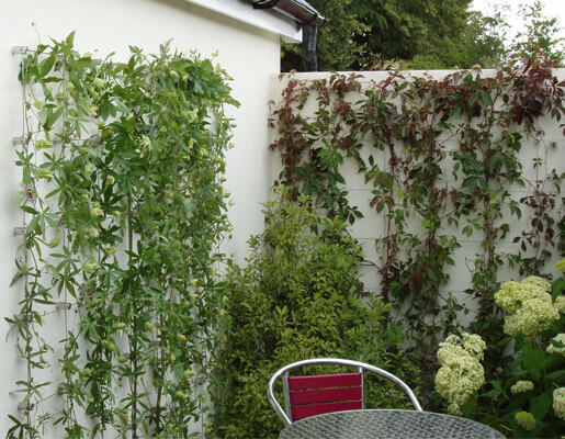 Stainless steel 'Green Wall' trellis garden project